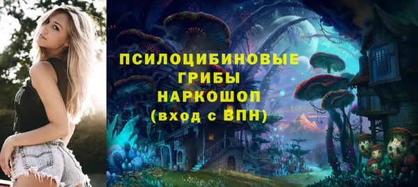 гашик Балахна