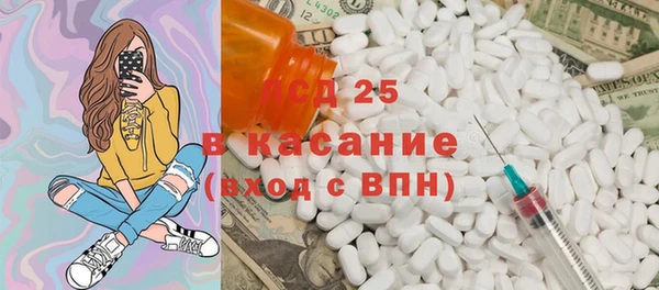 сатива Каменка